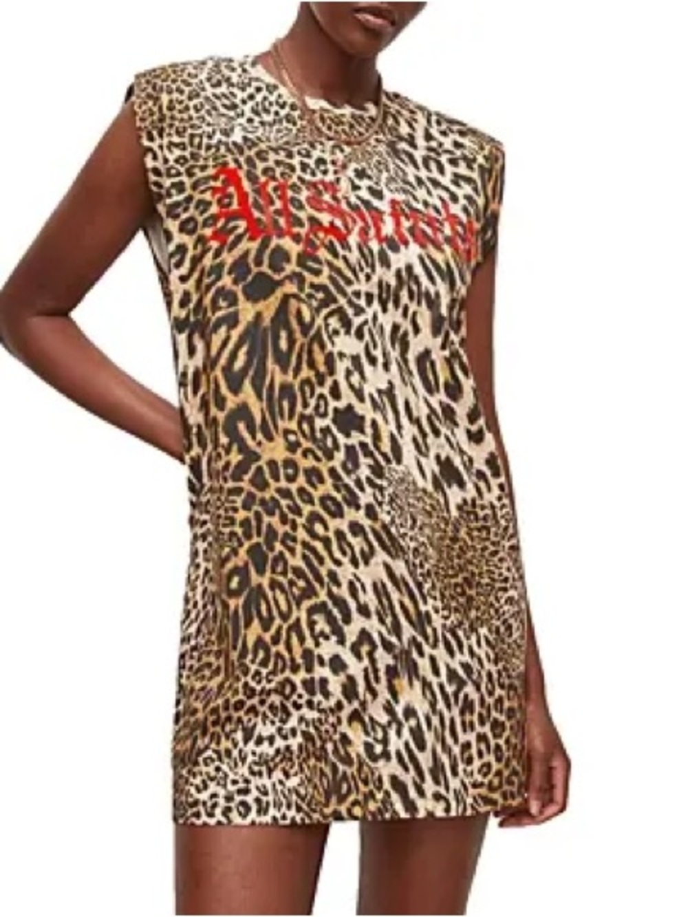 AllSaints Leopard Print Graphic T-Shirt Dress